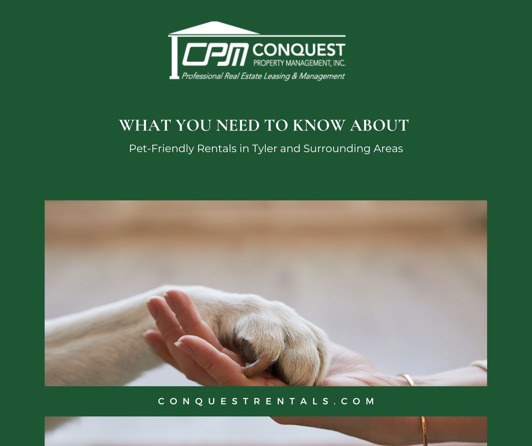 What You Need to Know About Pet-Friendly Rentals in Tyler and Surrounding Areas